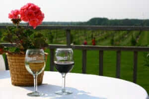 Maryland Vineyard Orchid Cellar