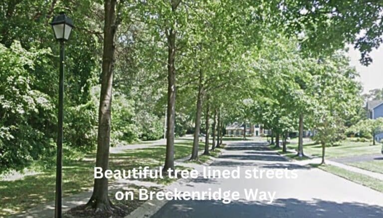 Tree-lined Streets in Annapolis Landing