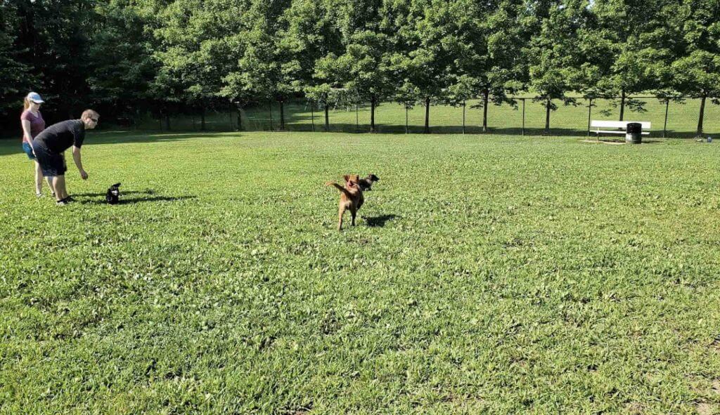 Maryland City Dog Park