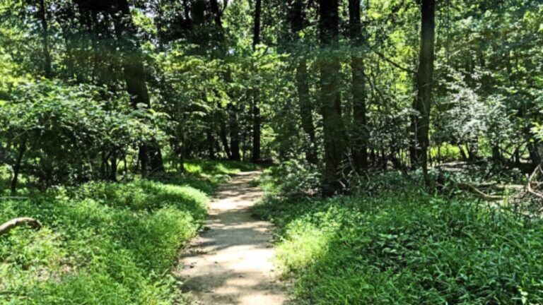 Parks in Pikesville, Maryland