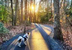 Living In Pasadena Maryland