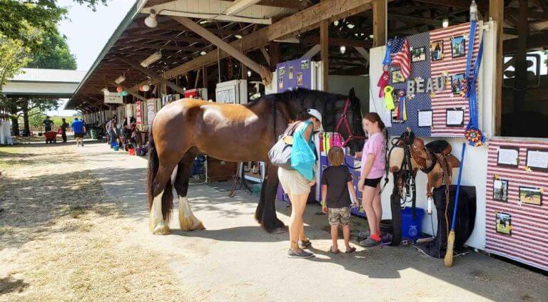 Queen Anns County Fair