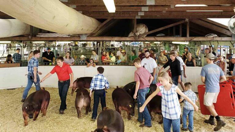 Things to do in Centerville Maryland