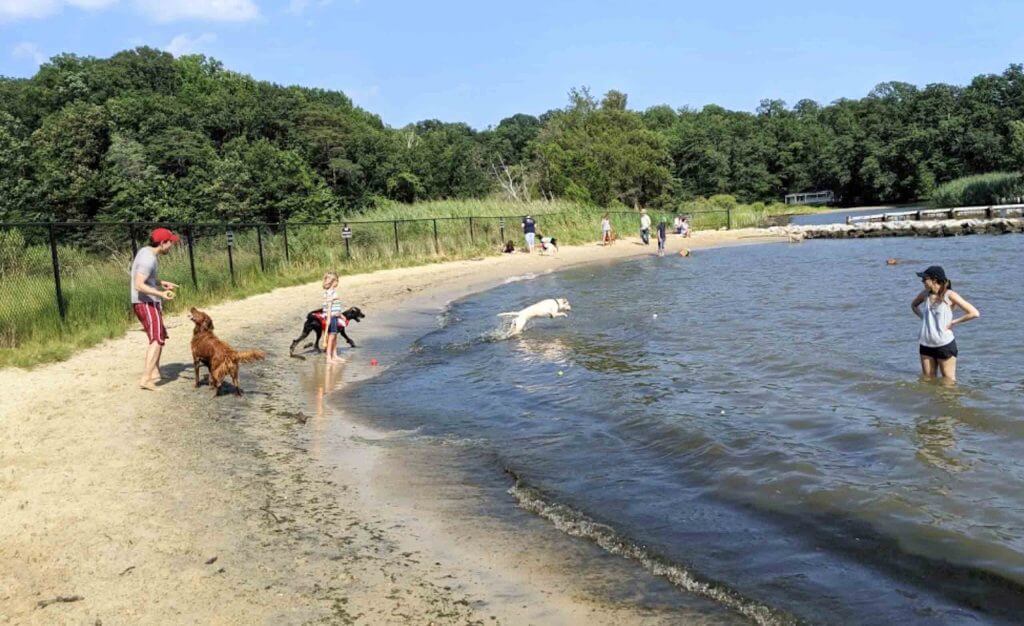 Quiet Waters Park Dog Beach Annapolis Maryland