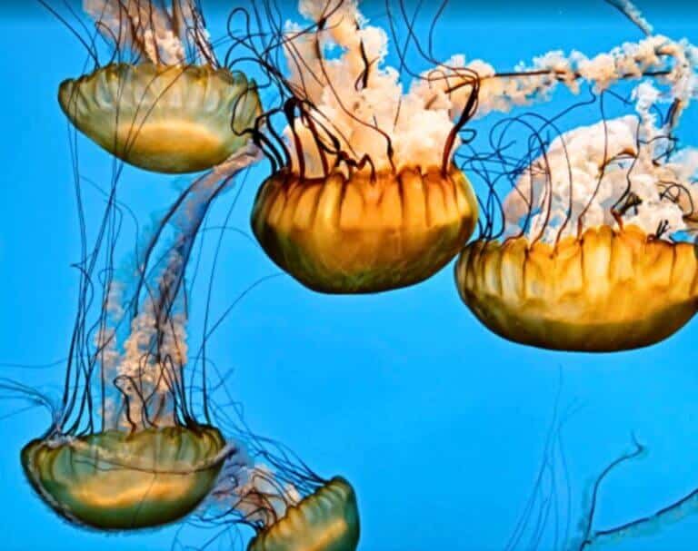 Family fun things to do in Baltimore