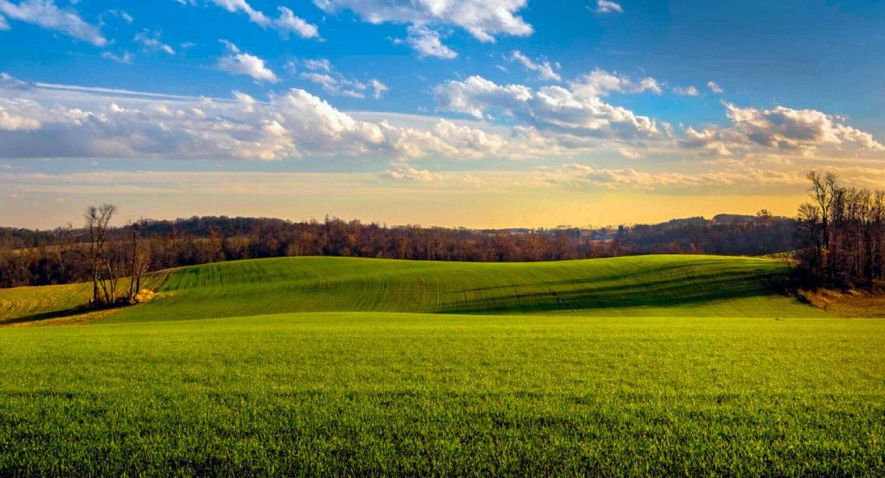 Living in Urbana Maryland