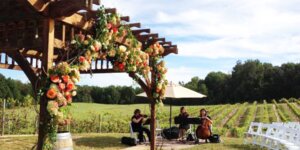 Vineyards and Wineries in Maryland