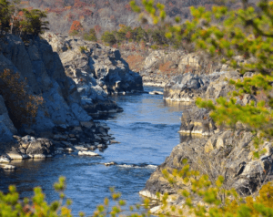 Relocating To Potomac Park