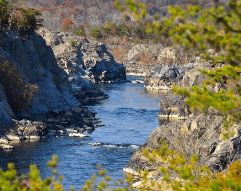 Relocating To Potomac Park