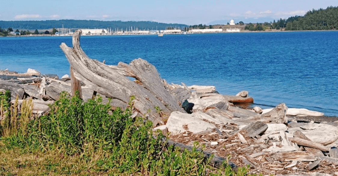 A Local’s Guide To Living In Bowleys Quarters, Maryland