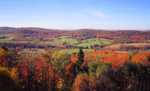 Relocating To Garrett Park, MD