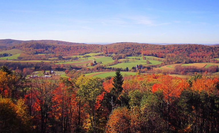 Relocating To Garrett Park, MD