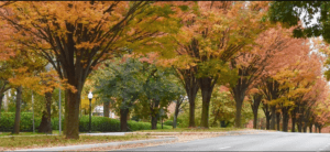 Moving To Roland Park, MD