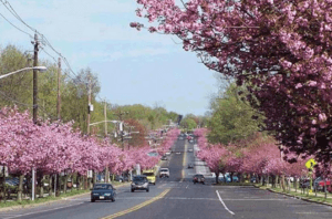 Moving To cherry hill, MD