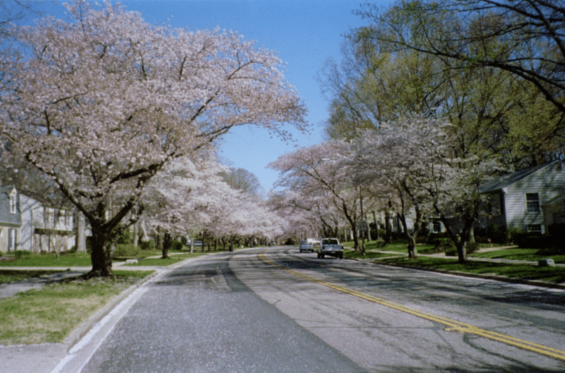 Moving To Crofton, MD